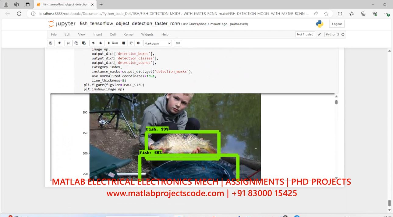 Fish Detecion Using Faster R-Cnn Object Detection Python Code project simulation thumbnail for Signal Processing and AI Engineering
