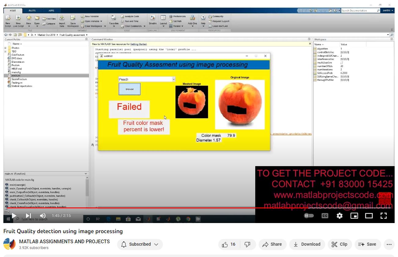 Fruit Quality Detection Using Image Processing project simulation thumbnail for Signal Processing and AI Engineering
